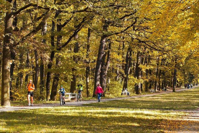 Radfahren Innovativ GmbH - Image 14